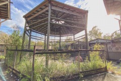 abandoned-jungleland-zoo-florida-1