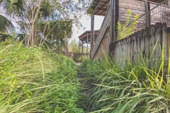 abandoned-jungleland-zoo-florida-2