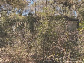 IMG_8443