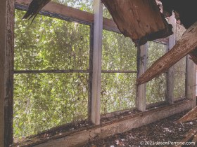IMG_8464