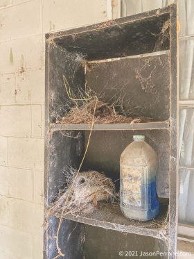 abandoned-house-chiefland-florida-3-13-2021-8