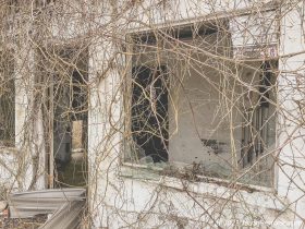 IMG_8327