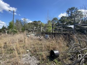 abandoned-tree-nursery-central-florida-19