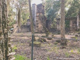 Bulow-Plantation-Ruins-Historic-State-Park-10