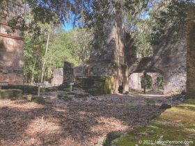 Bulow-Plantation-Ruins-Historic-State-Park-6