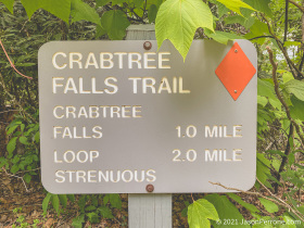 crabtree-falls-25-1250