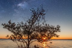 Sunset-Manatee-Park-Cape-Canaveral-193-STARS-2500
