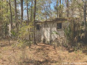hampton-springs-hotel-12