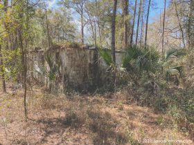 hampton-springs-hotel-13