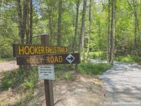 hooker-falls-north-carolina-5-26-2021-5