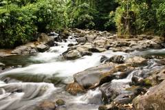 Rio Burio