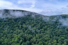 north-carolina-aerial-4-2500