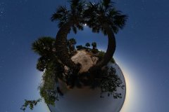 merritt-island-wildlife-refuge-night-little-planetb-2500