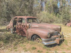 old-fords-crawfordville-florida-10