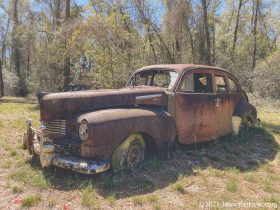 old-fords-crawfordville-florida-12