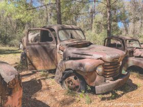 old-fords-crawfordville-florida-18