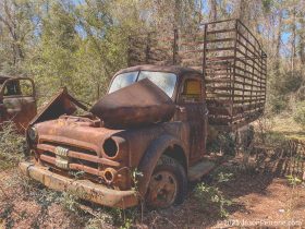 old-fords-crawfordville-florida-22