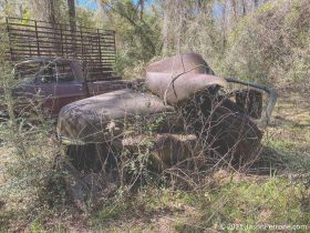 old-fords-crawfordville-florida-25