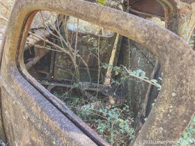 old-fords-crawfordville-florida-6