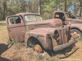 old-fords-crawfordville-florida-7