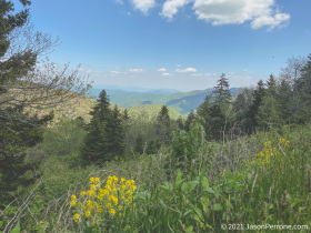 ridge-junction-overlook-3