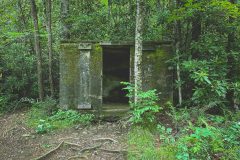roaring-fork-falls-nc-2023-01