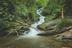 roaring-fork-falls-nc-2023-08