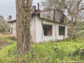 IMG_8247
