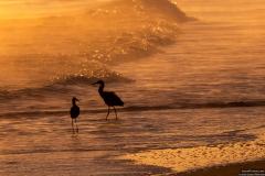 Playalinda-beach-sunrise-12-18-2018-2-2500