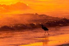 Playalinda-beach-sunrise-12-18-2018-3-2500