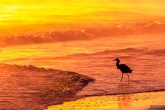 Playalinda-beach-sunrise-12-18-2018-4-2500