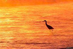 Playalinda-beach-sunrise-12-18-2018-5-2500