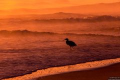 Playalinda-beach-sunrise-12-18-2018-6-2500