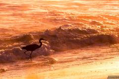 Playalinda-beach-sunrise-12-18-2018-9-2500