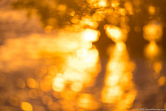 Sunset-bokeh-reflection-merritt-island-wildlife-refuge-1-4-2020