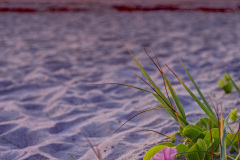 sunrise-cocoa-beach-8-7-2020-2-2500-no-copyright