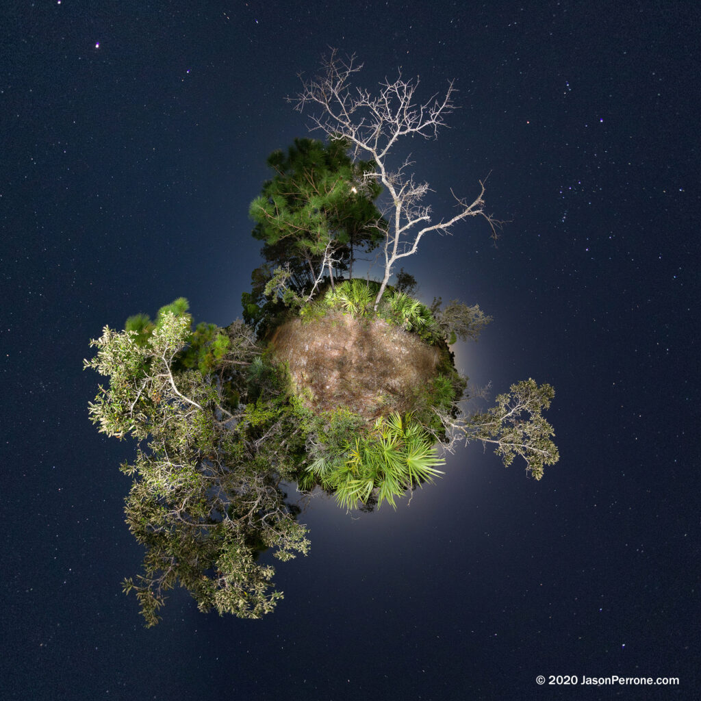little planet projection at the trail head of the Scrub Ridge Trail in the Merritt Island Wildlife Refuge in Florida.