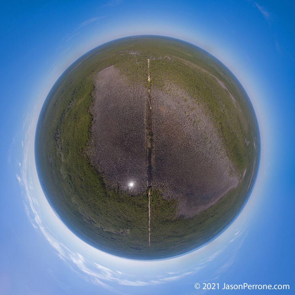 Aerial 360-degree panoramic image captured above the Ralph G. Kendrick Boardwalk at Dwarf Cypress Stand in the Tate's Hell State Forest